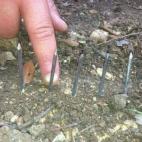 5c8b368e2300000401246221