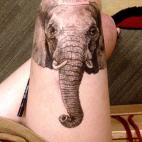 5c8aebc920000043046ff63d