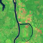 El 4 de agosto de 2014 el Operational Land Imager (OLI) de satélite Landsat 8 tomó esta fotografía del río Arkansas y el Holla Bend Wildlife Refuge. Durante el invierno, el refugio alberga unos 100.000 patos y gansos.