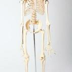 Precio de salida: 700 dólares