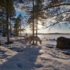 5c8b74c92400006b054d86f8