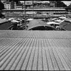 5c8aebd0360000c81a6c489e