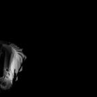 5c8ac019360000a61b6c00ff