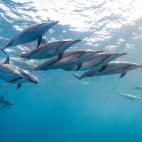 Vía 100leaguesunderthesea, Tumblr.