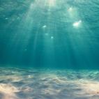 Vía stay-classynigga, Tumblr.