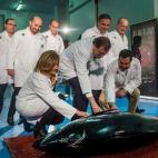 5c8b39a72500000d04ca57b2