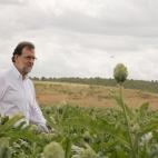 5c8b39a822000051001a94f9