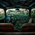 5c8ae65f3b000072066cc1e0