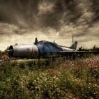 5c8ae6602400000a05a3e00c