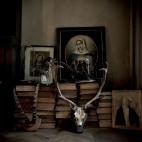 5c8ae6632500000d04c9d4de