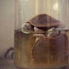 5c8ae66b240000f7054ca40b