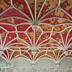 5c8ae66c2000009d036fef47