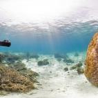 5c8b0ba82400006c05a3f80b