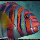 5c8b0ba93b000072066cd9e5