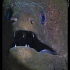 5c8b0ba920000043047006bf