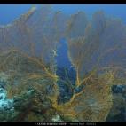 5c8b0baa230000dd0423fc61