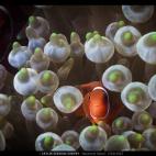 5c8b0baa22000031001a28a3