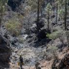 5d52f37c2200005600f532ac