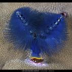 5c8b0bab22000051001a28a5