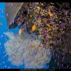 5c8b0bab360000ba1a6c585e