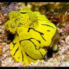 5c8b0bad360000a61b6c5862