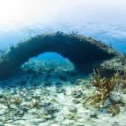 5c8b0bae2400006b054cbbaf