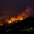 5d5a823d3b00004d00ddc916