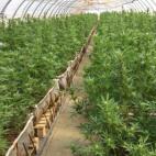 5c8a80d9360000ba1a6b8c05