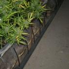 5c8a80da2300003000e6a423