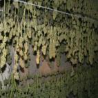 5c8a80da2300003000e6a426