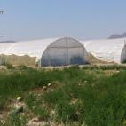 5c8a80db2500000704c91d3c