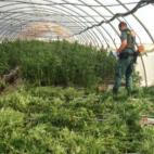 5c8a80db360000ba1a6b8c07