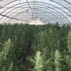 5c8a80db3b000037066c0c93