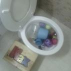 5c8aca4f2400004205a3b172