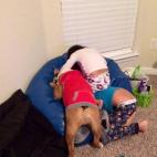 Por si no lo sabías: este es el lío que arman dos niños y un bulldog cuando se trata de irse a la cama.