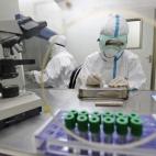 Esta historia es una firme candidata a estar en las listas de descubrimientos de primera división, pero se ha quedado fuera de ellas porque los datos se han dado a conocer tardíamente y los rankings ya estaban escritos. El caso es que la Organ...