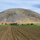 Sus restos se conocían desde hace al menos 200 años, pero Vlochós ha sido confirmada como ciudad por un equipo de arqueólogos de la Universidad de Gotemburgo (Suecia). Es una urbe de la Grecia clásica, de 2.500 años de antigüedad. Está a...