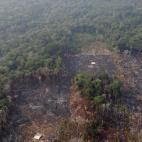 5d5f903825000032006fbfca