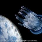 Ganadora de la categoría Gran angular: "El verano pasado se dio una conjunción de diversos factores: el aumento de la temperatura del mar coincidió con el periodo reproductivo de los celentéreos y el descenso de depredadores naturales aument...