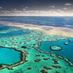 En los últimos 30 años se han destruido aproximadamente la mitad de los arrecifes de coral del mundo por el calentamiento del mar y las emisiones de carbono, que hacen el agua demasiado ácida.
