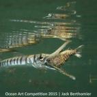 Ganadora de la categoría Comportamiento de la vida marina en cámara compacta: "Esta fotografía ha sido tomada en el Mangle de Ouemo , el lugar en el que hago el 90% de mis fotografías y en el que buceo, siempre en apnea. Este Tylodosus croco...