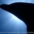 Ganadora de la categoría Gran angular con cámara compacta: "Parecía tratarse de una familia que incluía a una matriarca y a su cría. Con los que pasé más tiempo fue con un par de delfines jóvenes que no paraban de jugar entre sí y conmi...