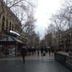 5c8aafe32000009d036f8ea4