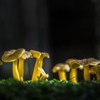 5c8a79882400000a05a31f77