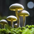 5c8a798824000093024be5ba