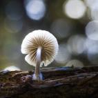 5c8a7989250000bd05812f9e