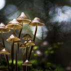 5c8a79892500005206812fa0