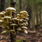 5c8a798a2300007f0123258d