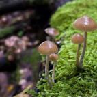 5c8a798a2300007f0123258f