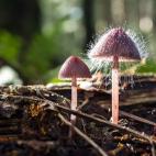 5c8a798a2500000d04c915c3